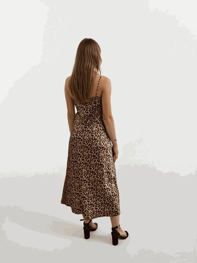 CB000032021_leopard_2.png