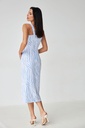 CB000029793_cyan_zebra_3.jpg